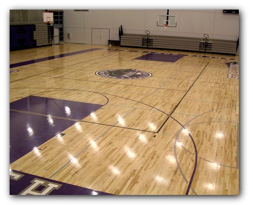 體育地板 體育地板